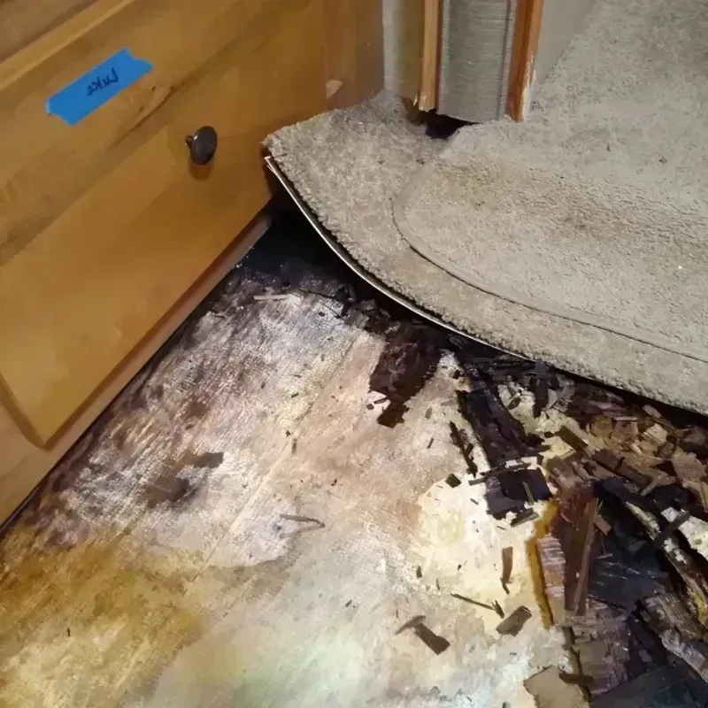 Wood Floor Water Damage in Washakie County, WY